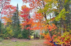 41483 W Betsy River Rd, Paradise, MI 49768