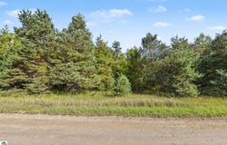 V/L Elliott Road, Buckley, MI 49620