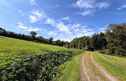 Griswold Drive, Springfield, VT 05150