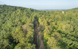 Anthony Road, Pickens, SC 29671