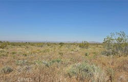 175th St E W10, Llano, CA 93591