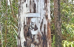 OHIALANI RD, Volcano, HI 96785