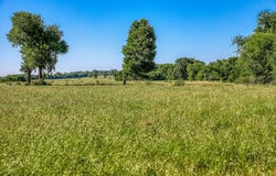 00000 Flat Prairie Road, Washington, TX 77880