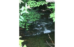 TBD Lot 11 Alpine Forest Drive, Todd, NC 28684