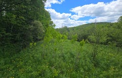 3wp County Rd 33, Norwich, NY 13815