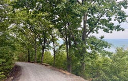 Paradise Lane, Bee Branch, AR 72013