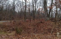77 ALAMO Lane, FALLING WATERS, WV 25419