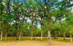 208 Post Oak Road lot: 7, Inez, TX 77968