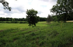Barnes Road, Whiting, VT 05778