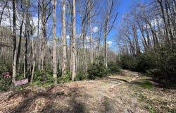 Red Clover Rd, Beech Mountain, NC 28622