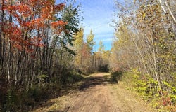 12168 250th Street, Milaca, MN 56353