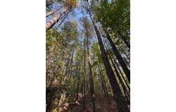 1807 N. Sapa Rd, Eupora, MS 39744