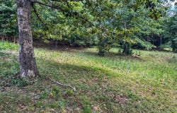 Cummins Road, Dawson Springs, KY 42408