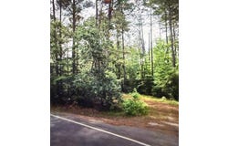 0 Hwy 8, Lena, LA 71447