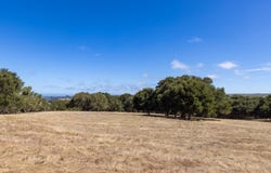 8170 Manjares, MONTEREY, CA 93940