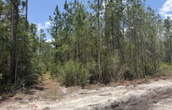Corbitt Road lot: 8, Manor, GA 31550