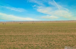 3699 County Road 5, Wiggins, CO 80654