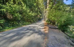 0 Stewart ST, BOULDER CREEK, CA 95006