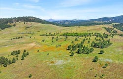 149.82+/- acres, Whitewood, SD 57793