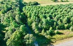 County Rd. B, Fairchild, WI 54758