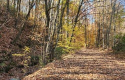 10414 Petros Hwy, Oliver Springs, TN 37840