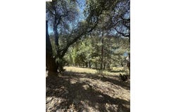 4-127 Pine Mountain Dr, Groveland, CA 95321