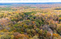 Prospect Road, Prospect, VA 23960