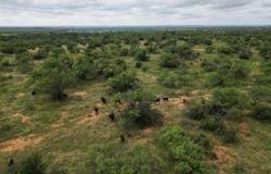 5181 CR 202, San Saba, TX 76877