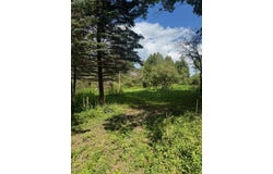 Parcel B Maple Grove, Hastings, MI 49058