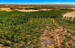 Acreage Highway 45, Loris, SC 29569