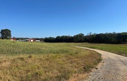 777 Grange Rd, Cave City, AR 72521