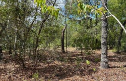 LADY BUG Lane, MELROSE, FL 32666