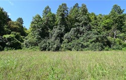 England Valley Rd Lot 7a, Duffield, VA 24251