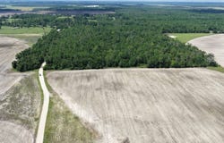 Vacant SE Camelot Way, Lee, FL 32059
