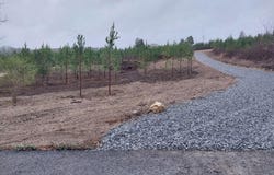 339 Big Sewee Rd, Decatur, TN 37322