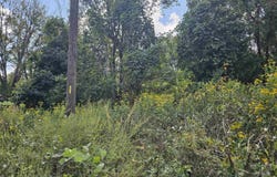 Slumber Drive, Waterloo, SC 29384