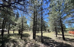 2935 W St Andrews, Williams, AZ 86046