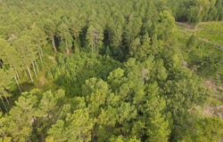 Tract 2 Bridle Path Road, Camden, SC 29020