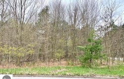 Brook Avenue, Kaleva, MI 49645