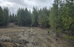 59 Royce Mountain Way, CrescentLake, OR 97733