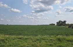 13261 480th Ave, Donnelly, MN 56235