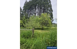 10195 Sweet Creek Rd, Mapleton, OR 97453