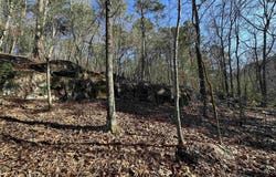 Bear Mountain Road, Prim, AR 72130