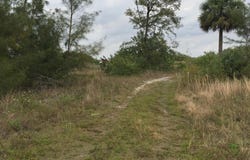 20636 LOUISE Street, Loxahatchee, FL 33470