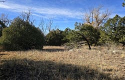 126 Cedar Ridge Rd, Mosca, CO 81146