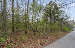 342 & 343 Turkey Mountain Estates, Shell Knob, MO 65747