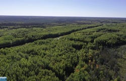 TBD Parcel 4 Hwy 115, Tower, MN 55790