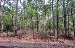 Calhoun 50 Road, Hampton, AR 71744