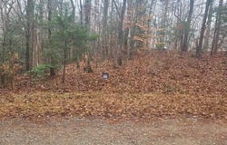 4050 Oak Ridge Court, Franklinton, NC 27525