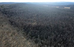 239 Mill Creek Road, Jerusalem, AR 72030